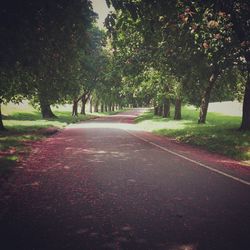 Road amidst trees against sky