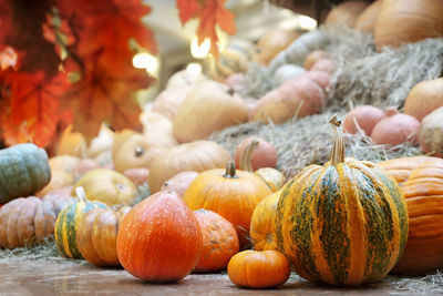 Decoration in the shop with pumpkins. autumn background