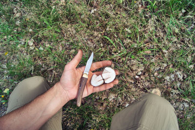 High angle view of man hand holding grass