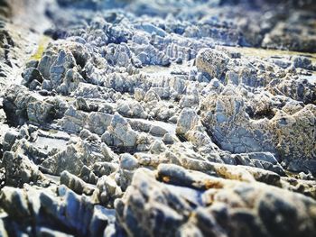 Close-up of pebbles on beach