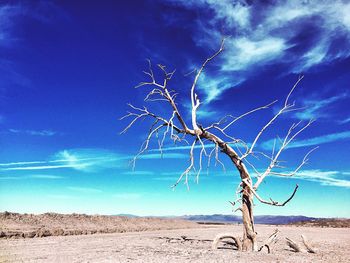 Scenic view of landscape against cloudy sky