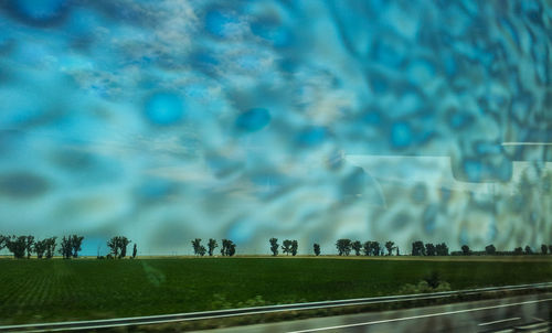 Trees on field against cloudy sky