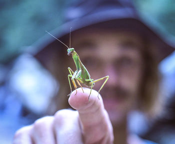 Close-up of insect on hand