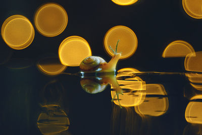 Close-up of wine glass against black background