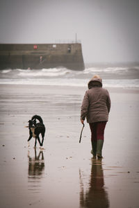 Rear view of woman walking by dog on beach