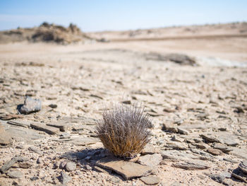 Close-up of sand on desert against sky