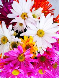 High angle view of pink and white flowers