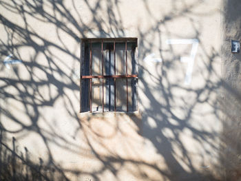 Shadow of tree on building during winter