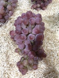 High angle view of grapes