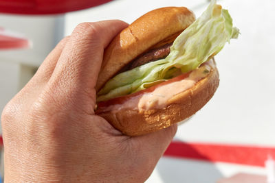 Cropped hand holding burger