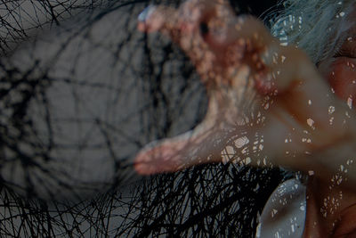 Close-up of bare tree by water