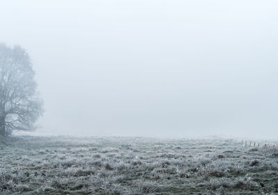 Scenic view of field against sky during winter