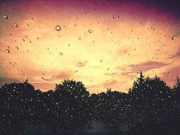 Silhouette trees against sky during sunset