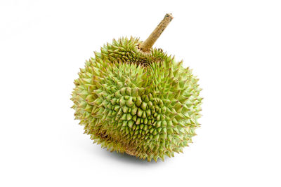 Close-up of fruit against white background