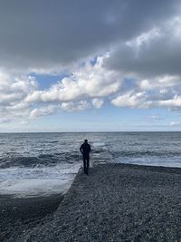 Rear view of man standing on beach