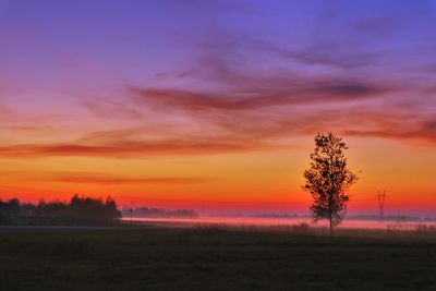 Silhouette trees on field against orange sky