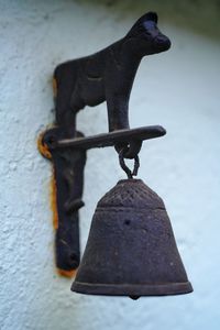 Close-up of animal hanging on water