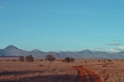 Scenic view of landscape against clear blue sky