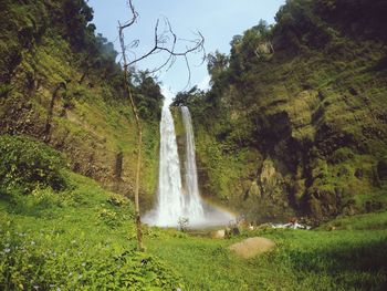 Scenic view of waterfall in forest