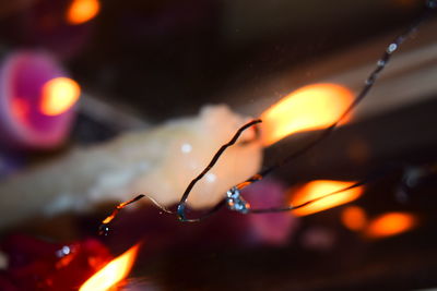 Close-up of illuminated candle