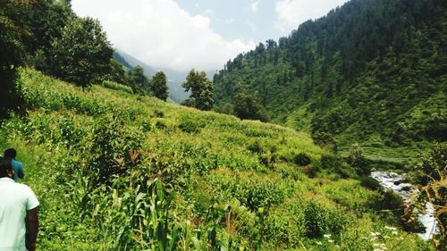 Scenic view of river with trees in background