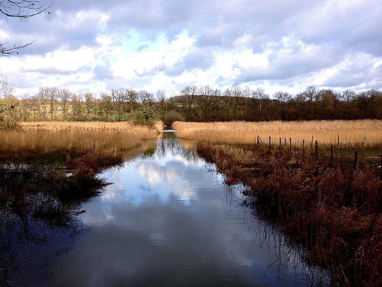 sky, tranquility, tranquil scene, water, reflection, cloud - sky, scenics, tree, beauty in nature, nature, growth, lake, grass, landscape, cloud, rural scene, field, cloudy, plant, idyllic