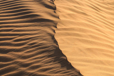 Full frame shot of sand dune