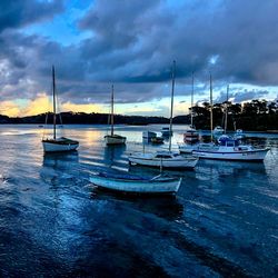 Sailboats moored in marina