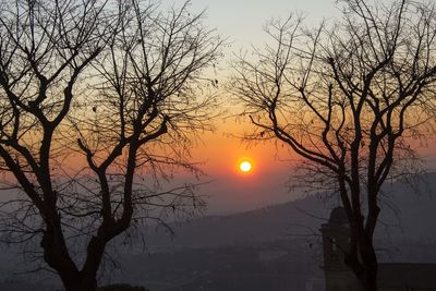 Silhouette bare tree against orange sky