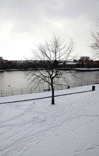 Bare tree on snow covered landscape against sky