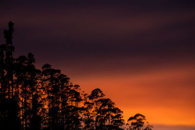 Low angle view of silhouette trees against romantic sky