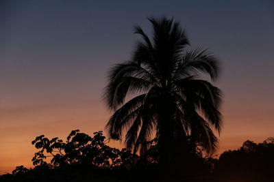 Low angle view of silhouette palm trees against romantic sky