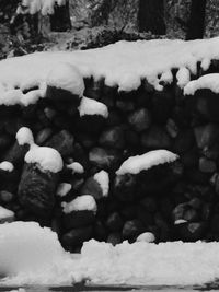 High angle view of sheep on snow