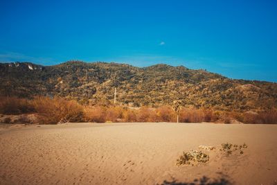 Scenic view of landscape against clear blue sky