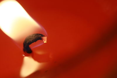 Close-up of lit candle against red background