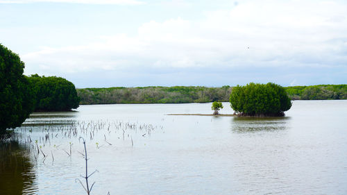 Scenic view of lake against sky