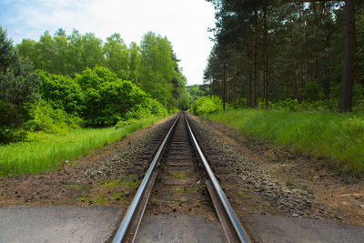 Railroad track amidst trees against sky