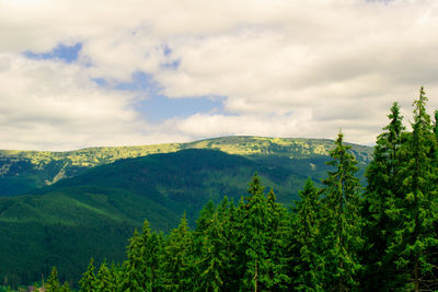 Trees by mountains against cloudy sky