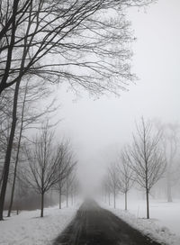Bare trees on snow covered road against sky