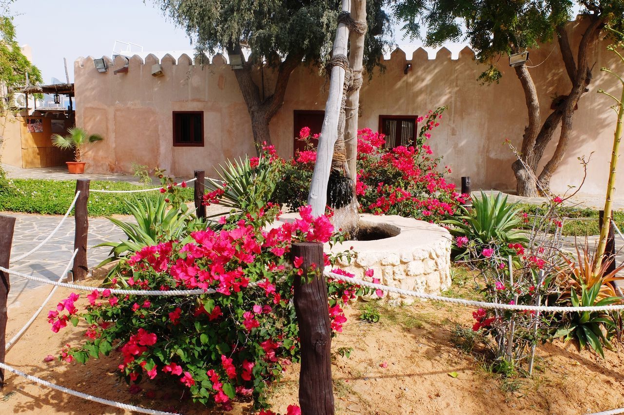 FLOWER PLANTS GROWING IN GARDEN