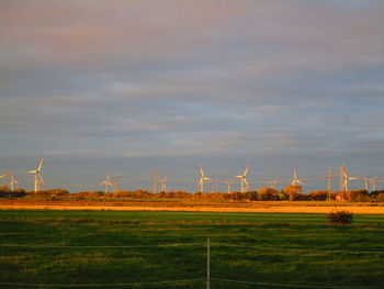 Wind turbines on field against sky