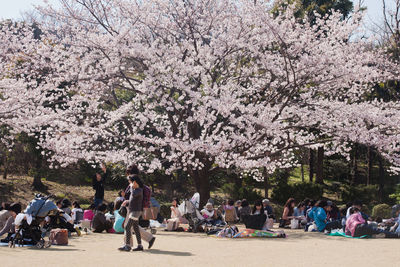 People in park