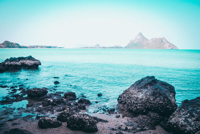 Scenic view of sea against clear sky