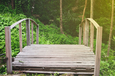 Empty wooden bench in park