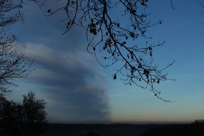 Silhouette tree against sky