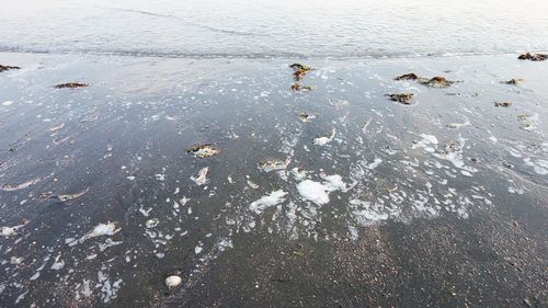 High angle view of snow on beach
