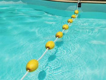 High angle view of fruits on floating in swimming pool