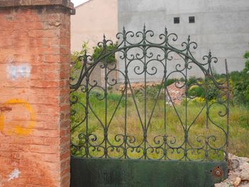 Plants growing on wall of building