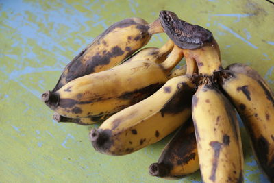 Close-up of crab on fruit