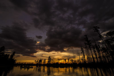 Silhouette of trees at sunset